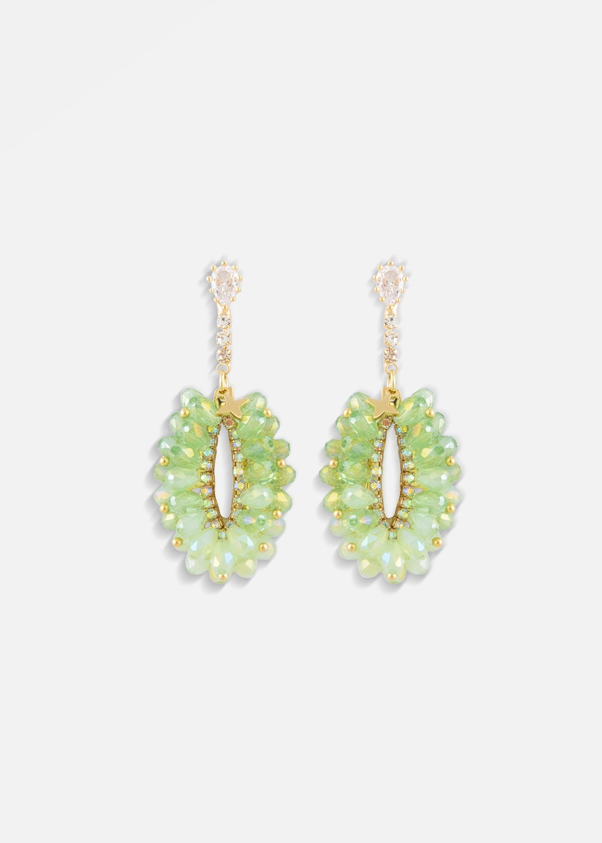 Earrings 54